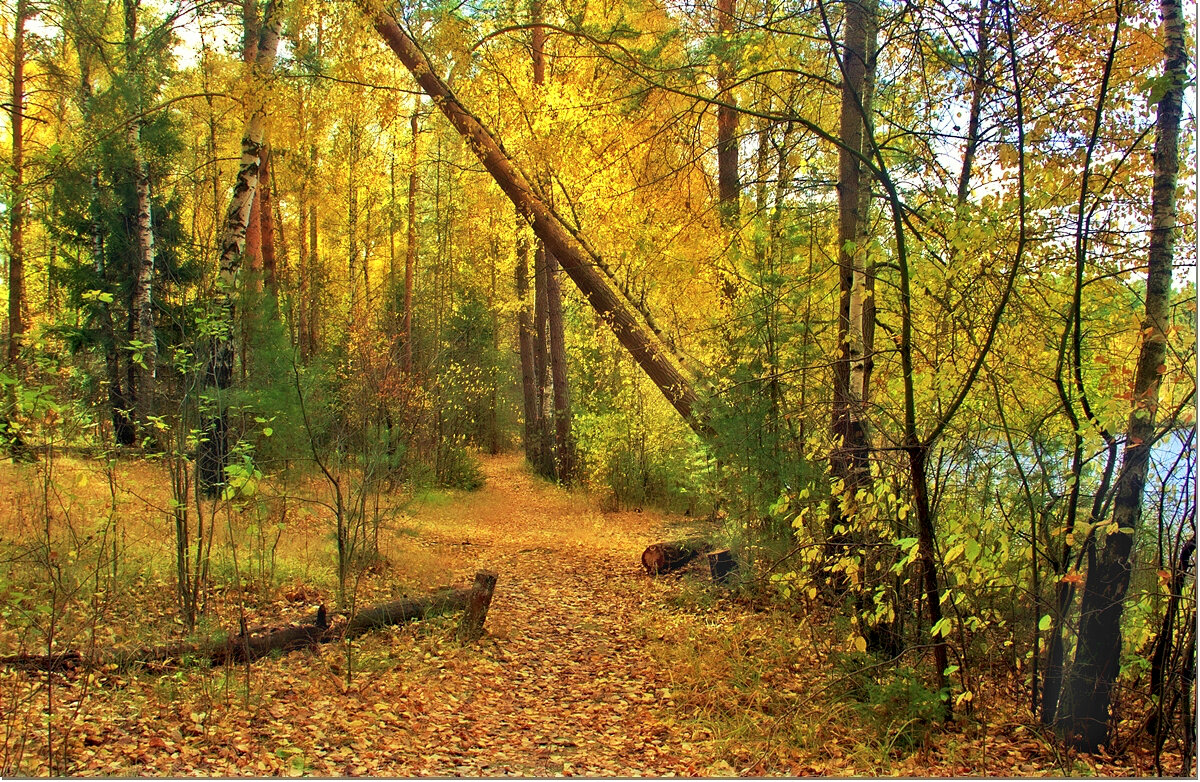 *** - Вячеслав Минаев