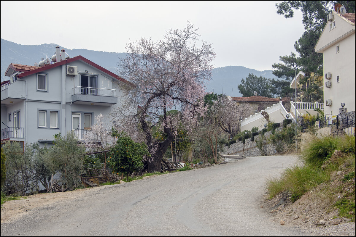 Турецкий мотив - **** vedin Турецкий мотив - **** vedin