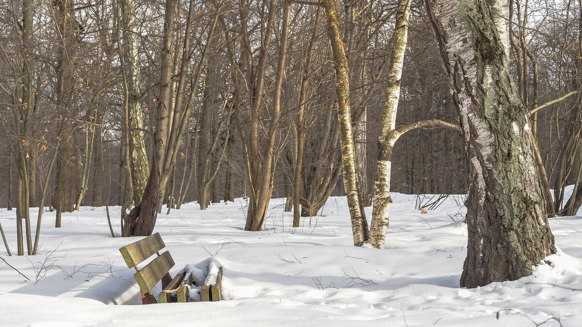 ***** - юрий поляков ***** - юрий поляков