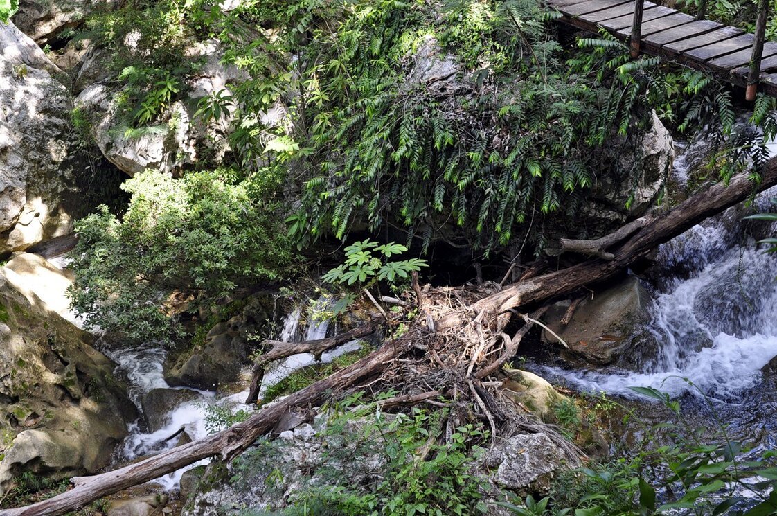 Горная речка - Вера Щукина