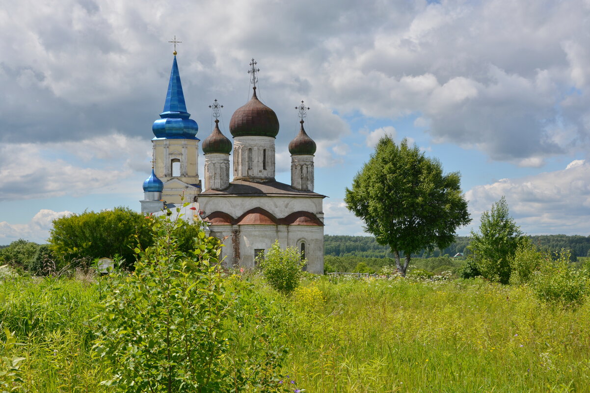 Возрождение - Леонид Иванчук