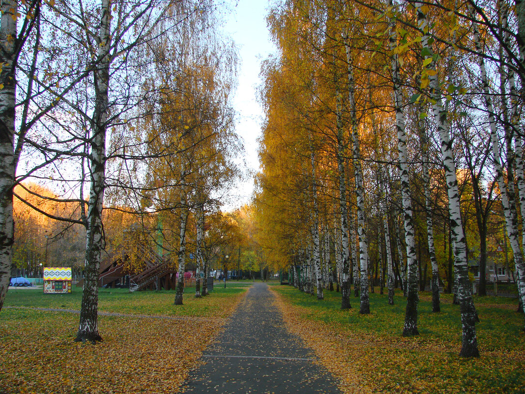 Осенний парк - Георгий Келарев