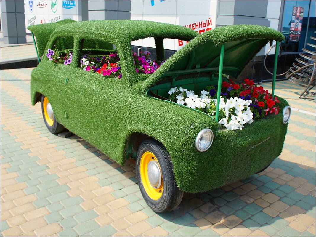 Клумба не заводится - Сеня Белгородский