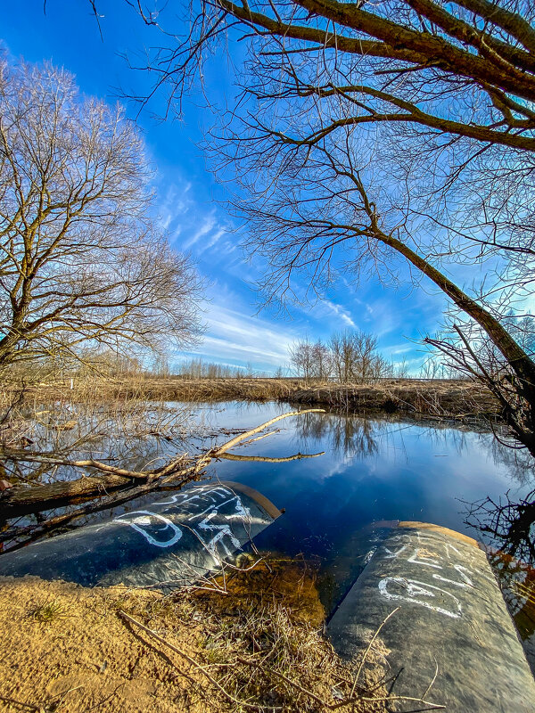 Весна - Игорь Чичиль Весна - Игорь Чичиль