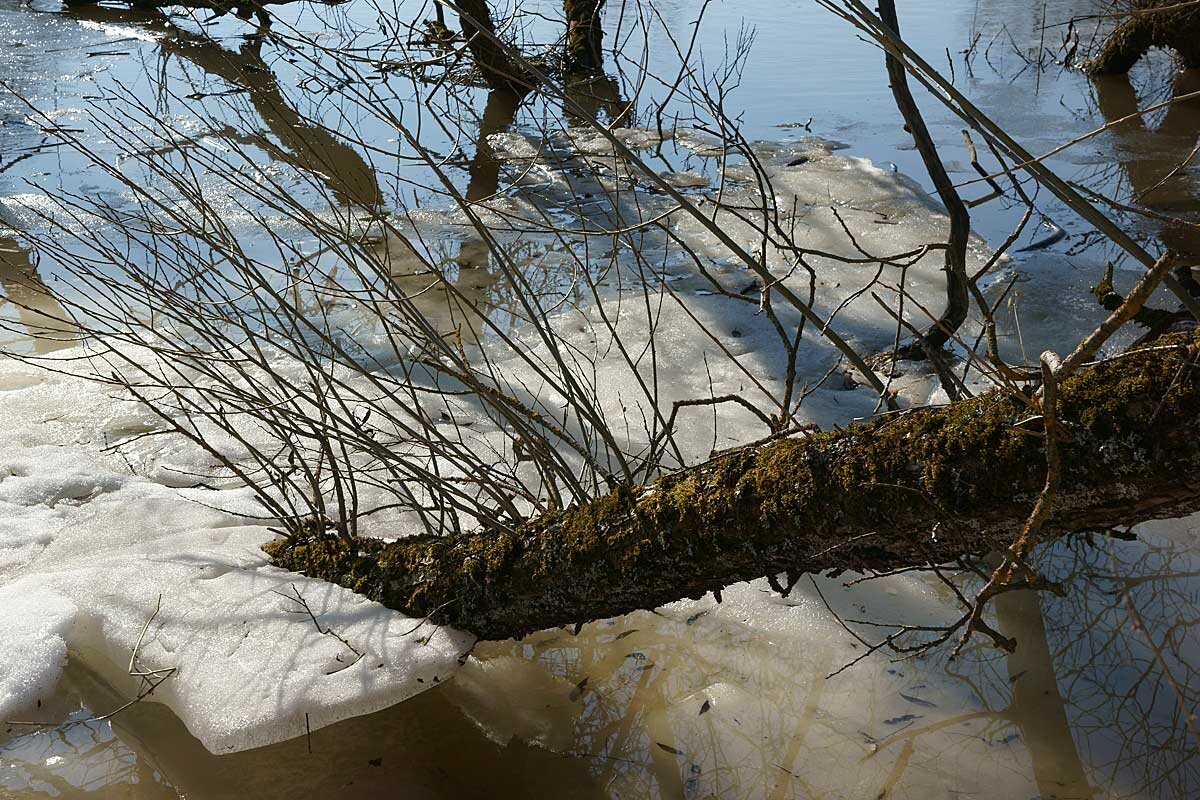 У берега - Сергей Курников