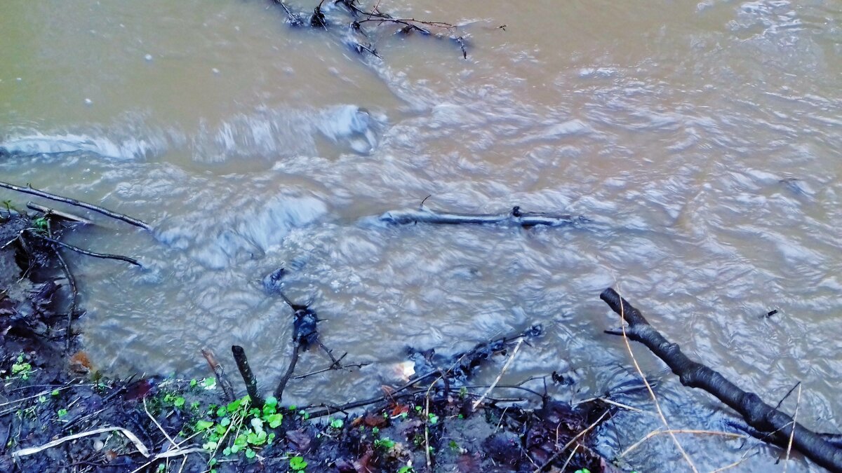 разлив - Владимир 