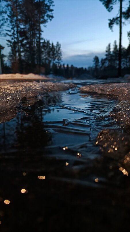 Вечер весны - Ульяна Северинова Фотограф