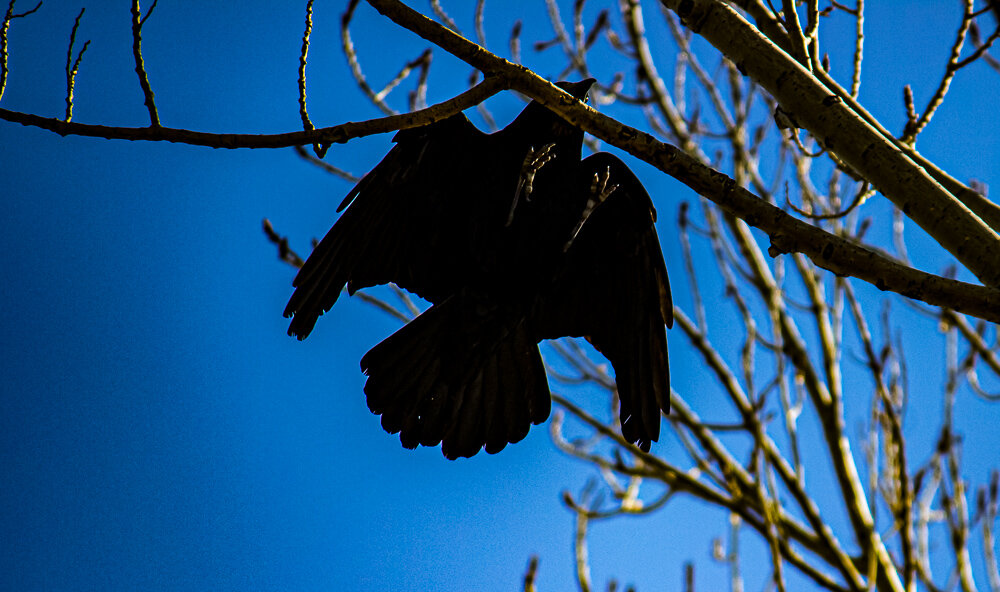 Нашел удобное место - Светлана SvetNika17 Нашел удобное место - Светлана SvetNika17