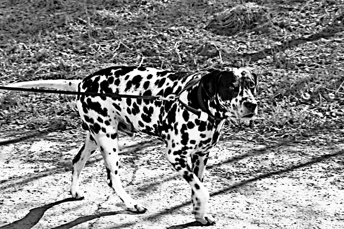 Мрамор. - Александр Шимохин