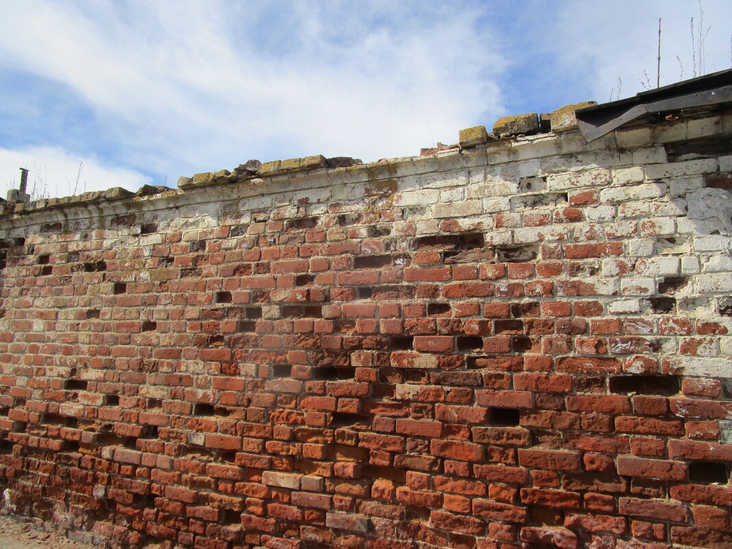 старые стены - Елена Шаламова