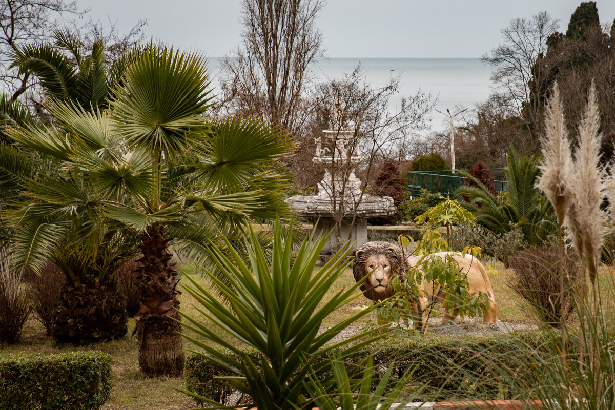 Сочи. Аквалоо. - Екатерина Рябинина