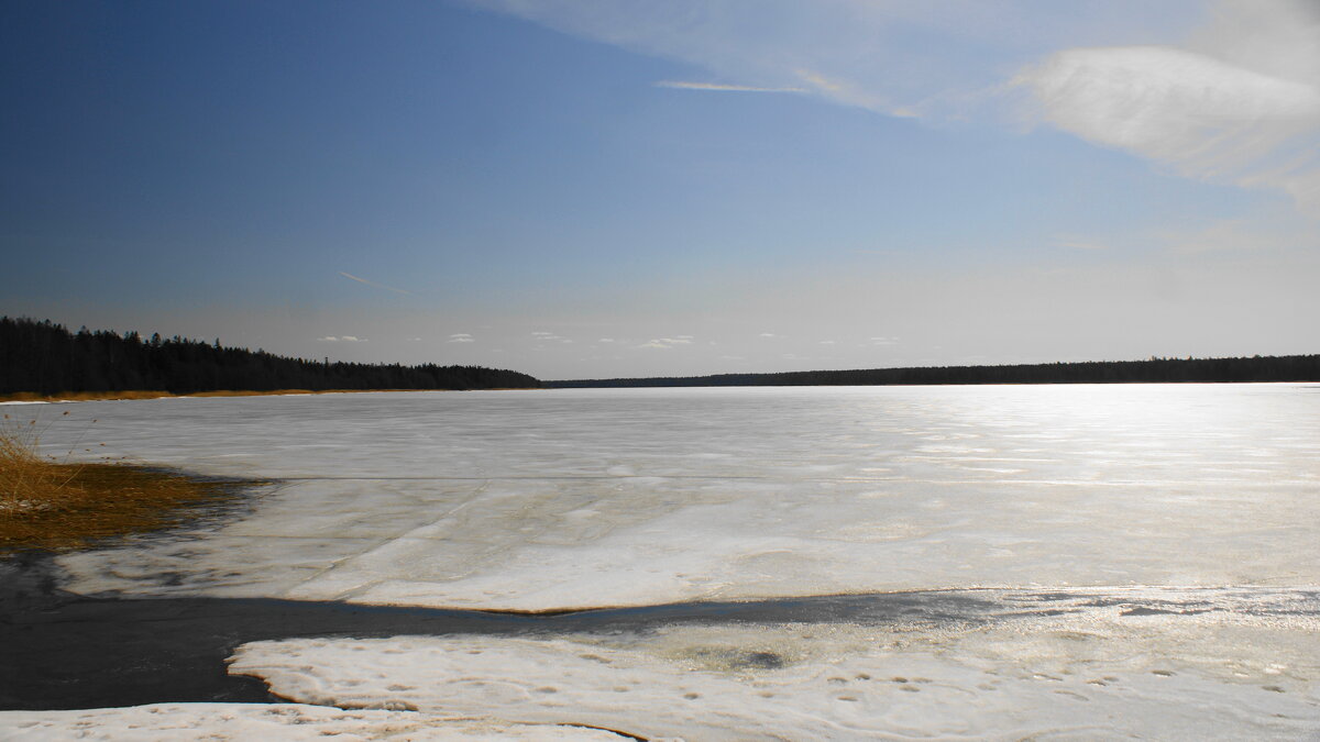 ... - Михаил Жуковский ... - Михаил Жуковский