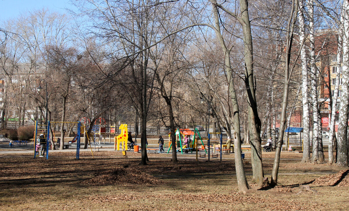 В весеннем парке. - Евгений Шафер