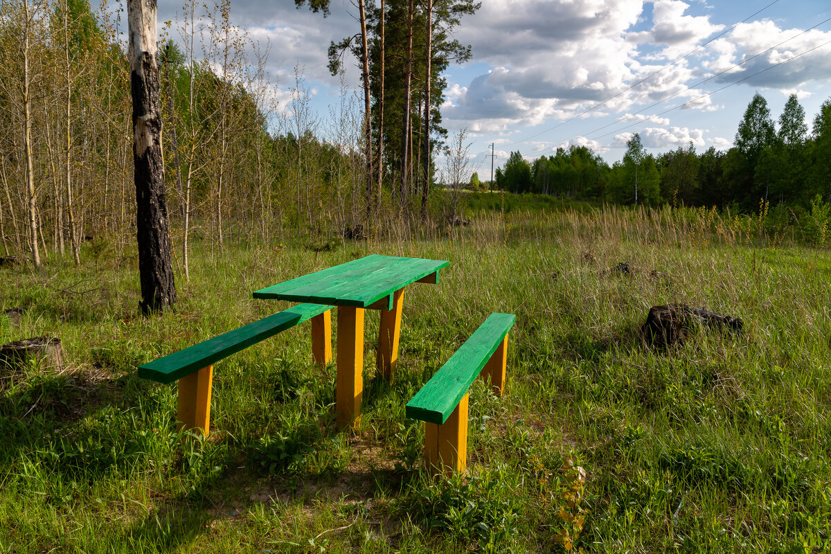 Прежде, чем  зайти в лес,посиди. - Сергей Татаринов