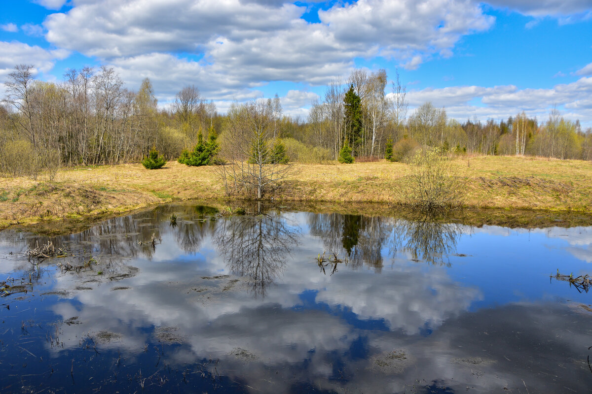 Пруд на первых полднях. - Oleg S Пруд на первых полднях. - Oleg S