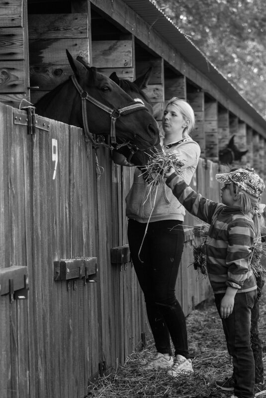 * - Павел C * - Павел C