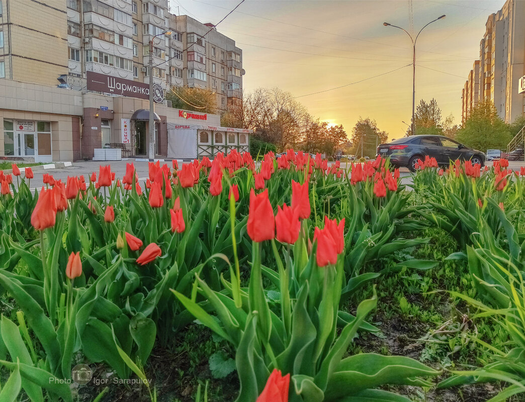 Город просыпается - Игорь Сарапулов