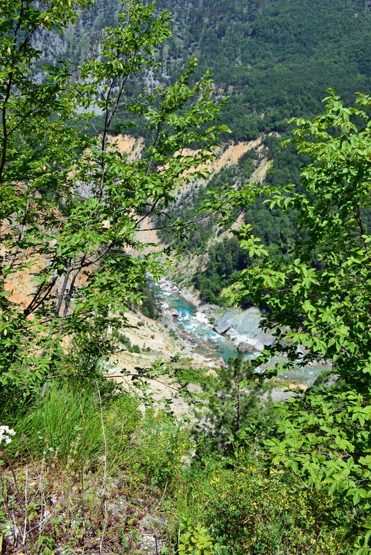 В горах Черногории - Ольга 