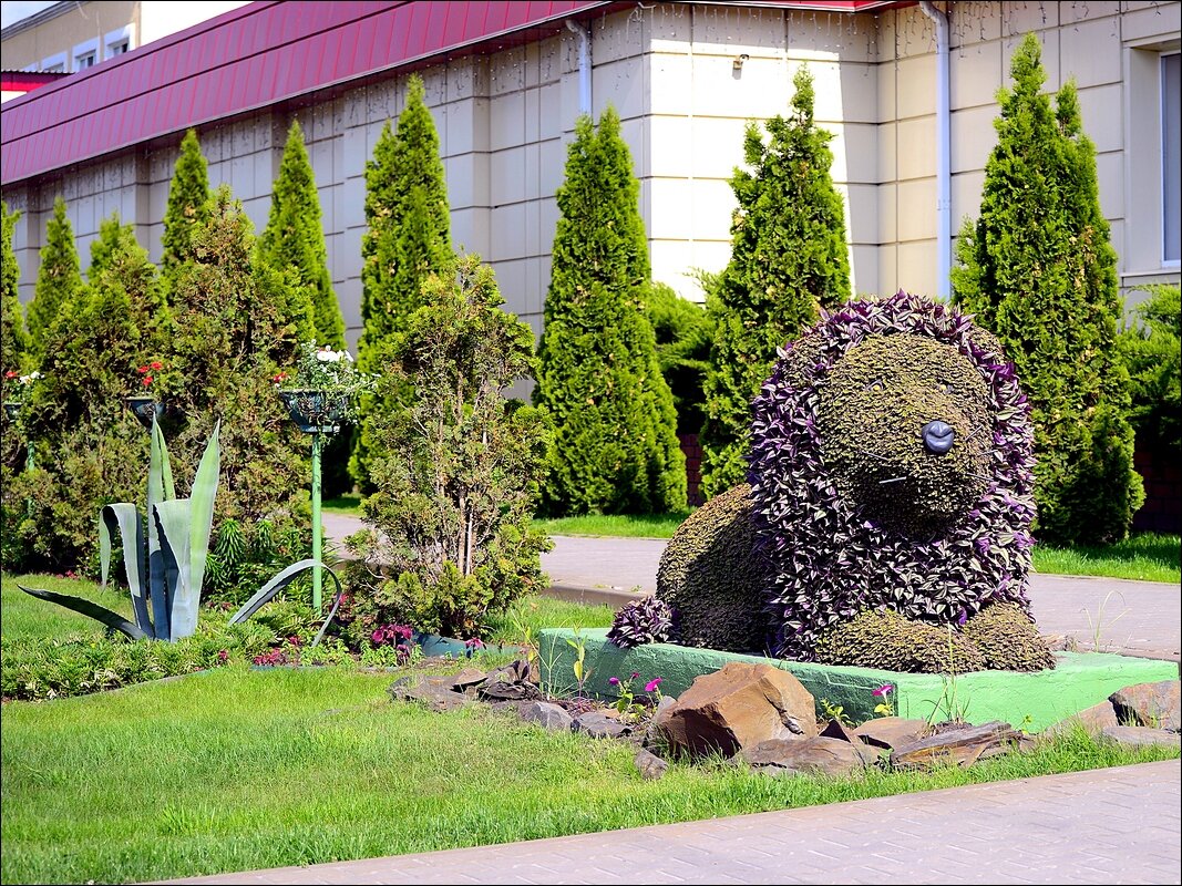 Лев - Сеня Белгородский