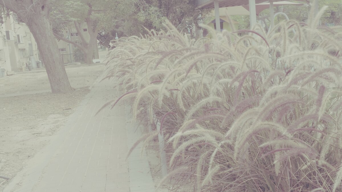 9  ОПЕН (358) - OPEN WAYS ALL