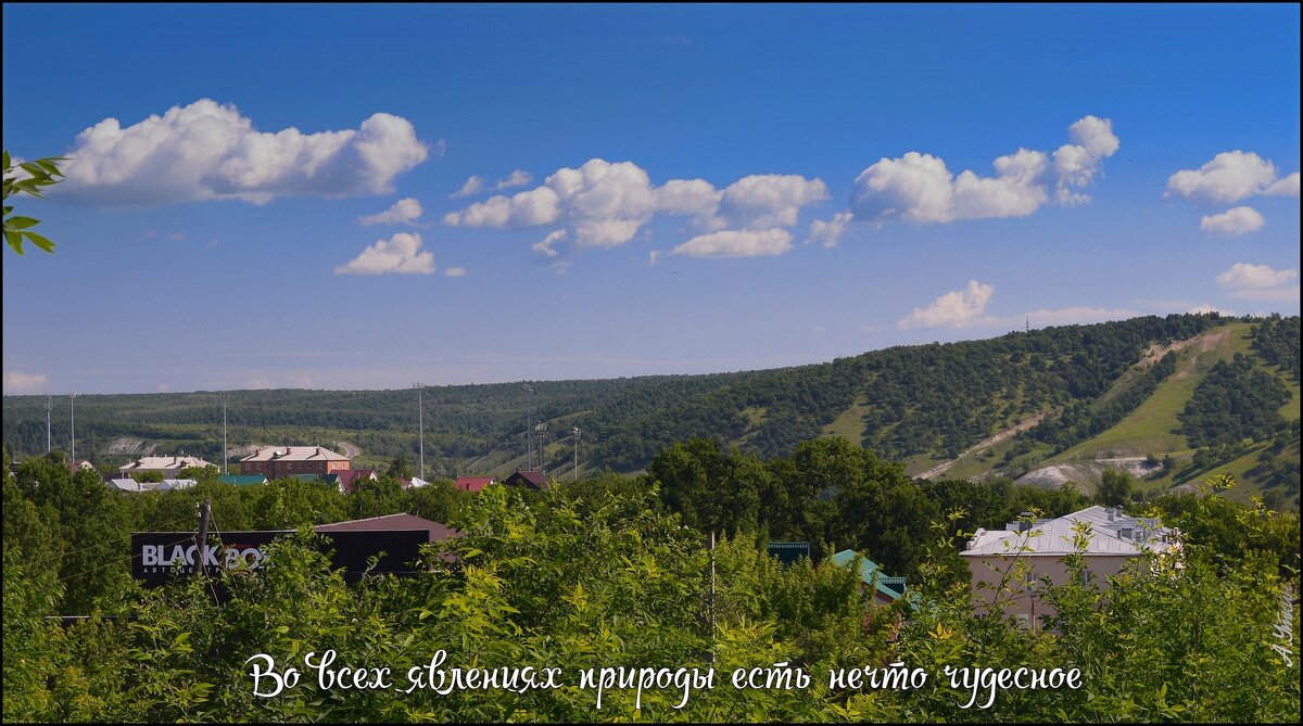 *** - Анатолий Уткин