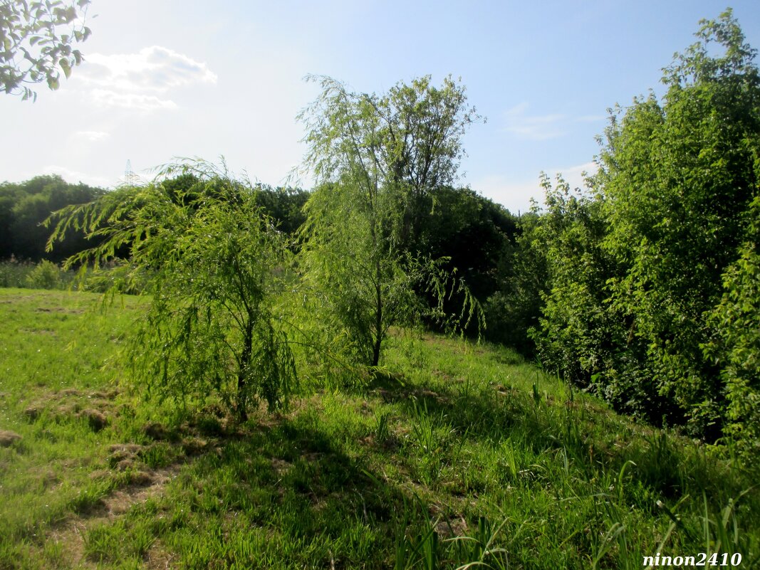 В ростовском экопарке - Нина Бутко