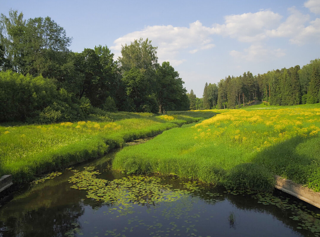 В Павловском парке - Магомед .