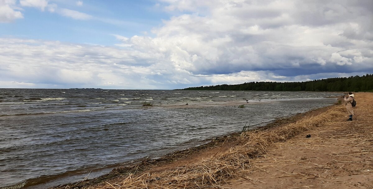 Тарховка - Наталья Герасимова Тарховка - Наталья Герасимова