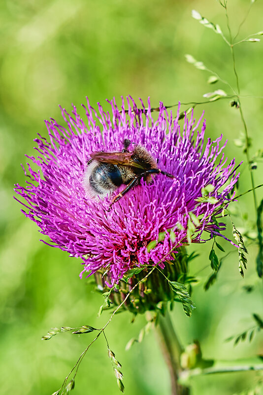 *** - Alex *** - Alex