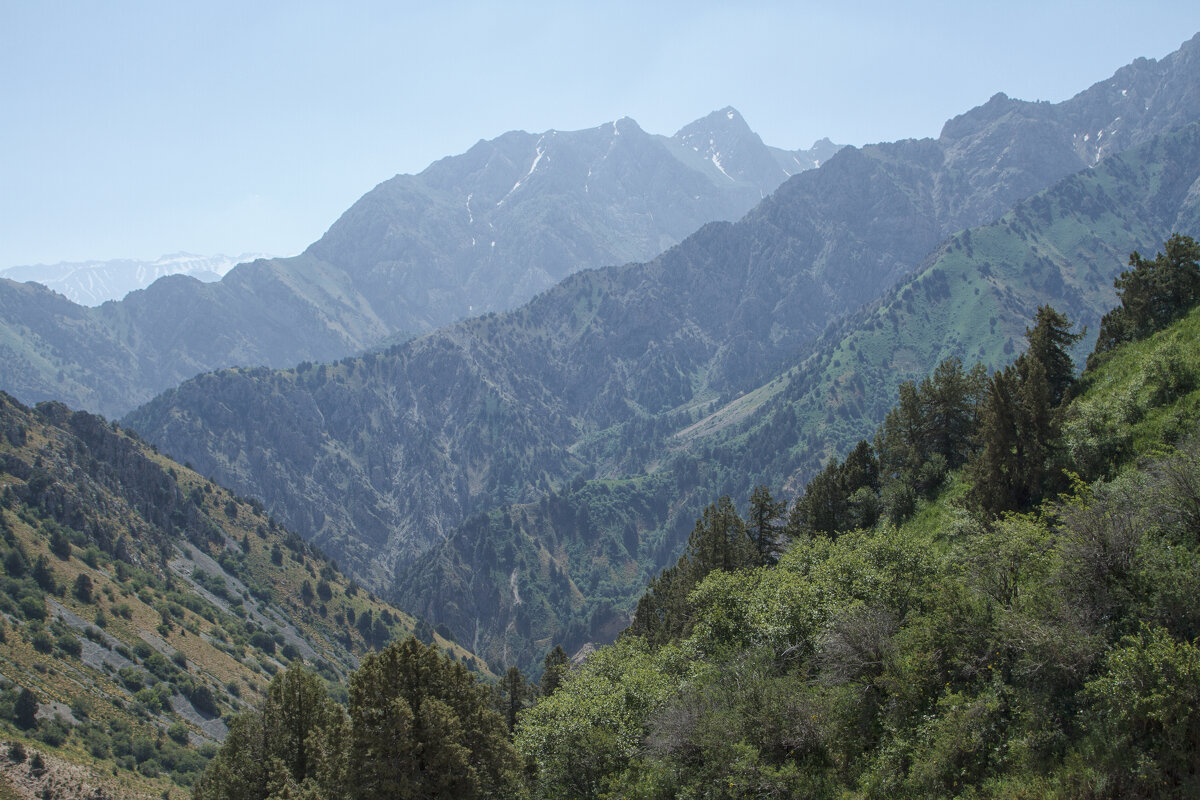 Узбекистан Ташкентская обл. Бостанлыкский район - Андрей Узбекистан Ташкентская обл. Бостанлыкский район - Андрей