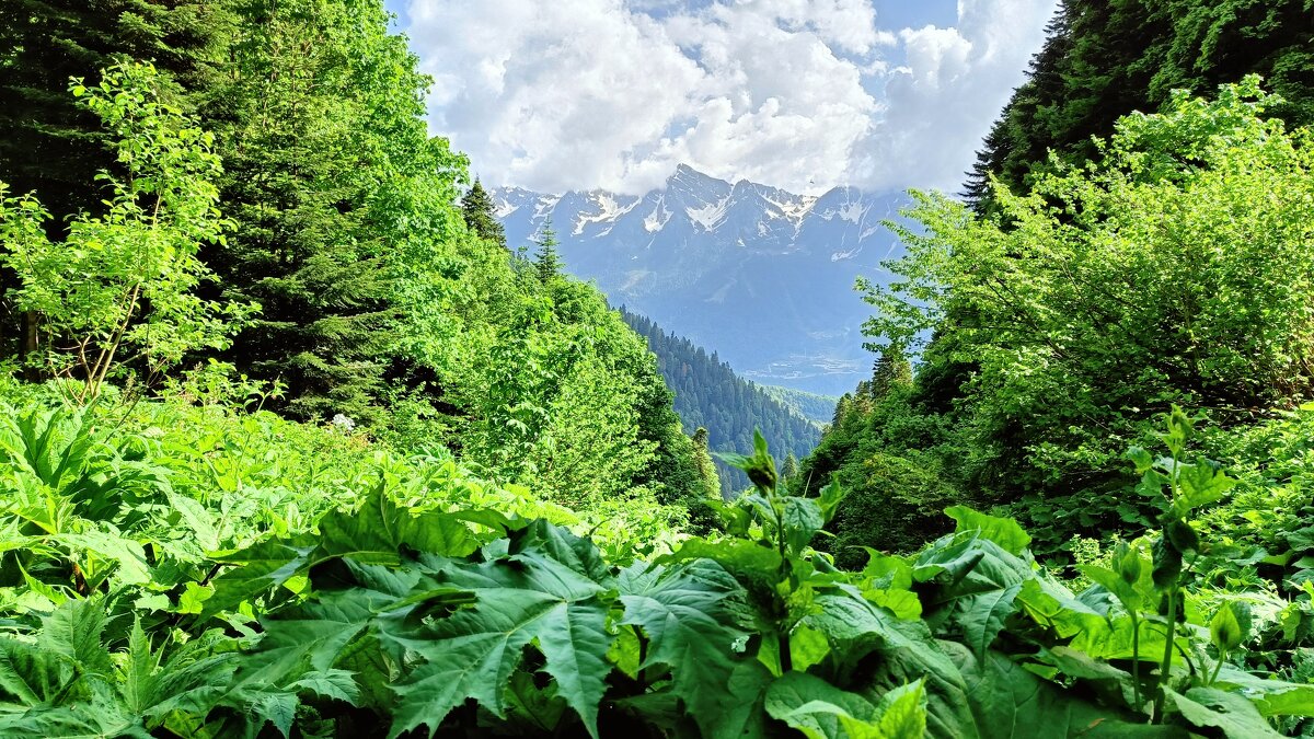 Горный пейзаж - Александр Ульныров Горный пейзаж - Александр Ульныров
