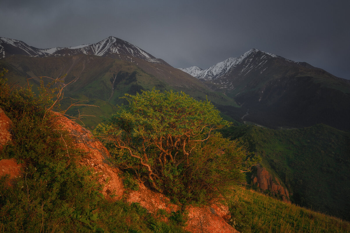 Ущелье Шамси на закате 4. Кыргызстан. - Дмитрий Шишкин Ущелье Шамси на закате 4. Кыргызстан. - Дмитрий Шишкин