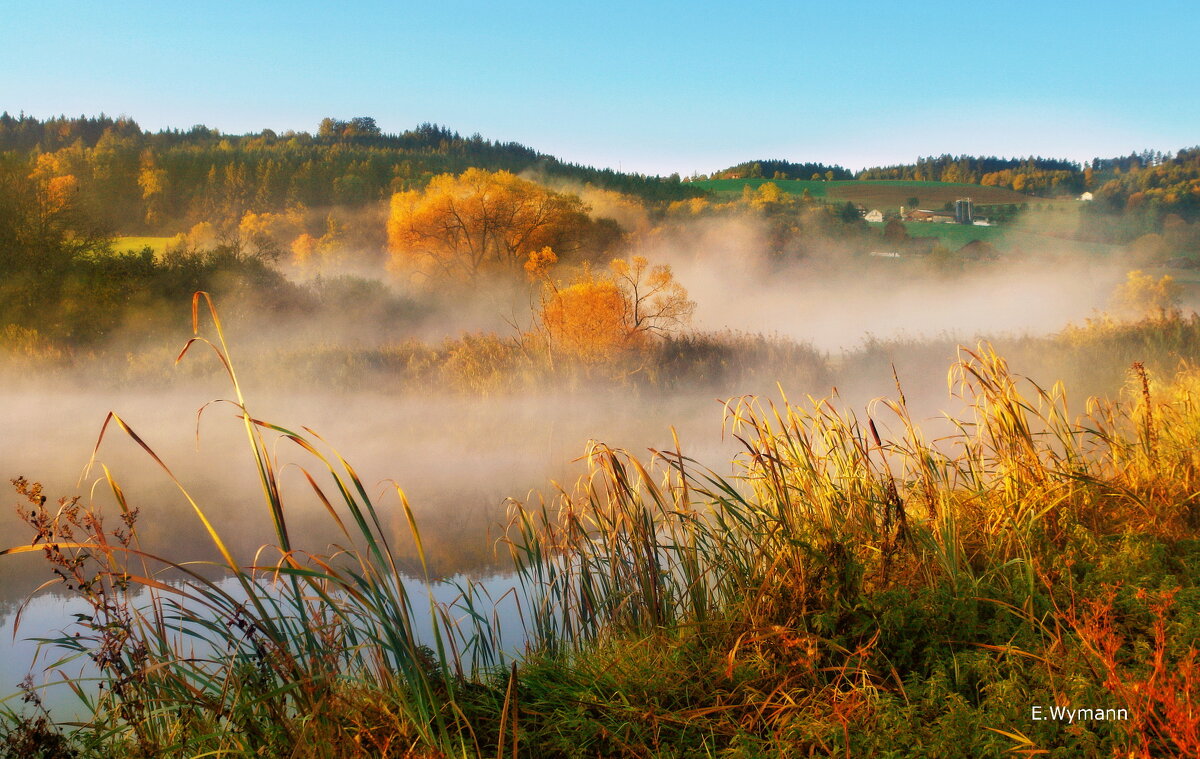 misty morning - Elena Wymann