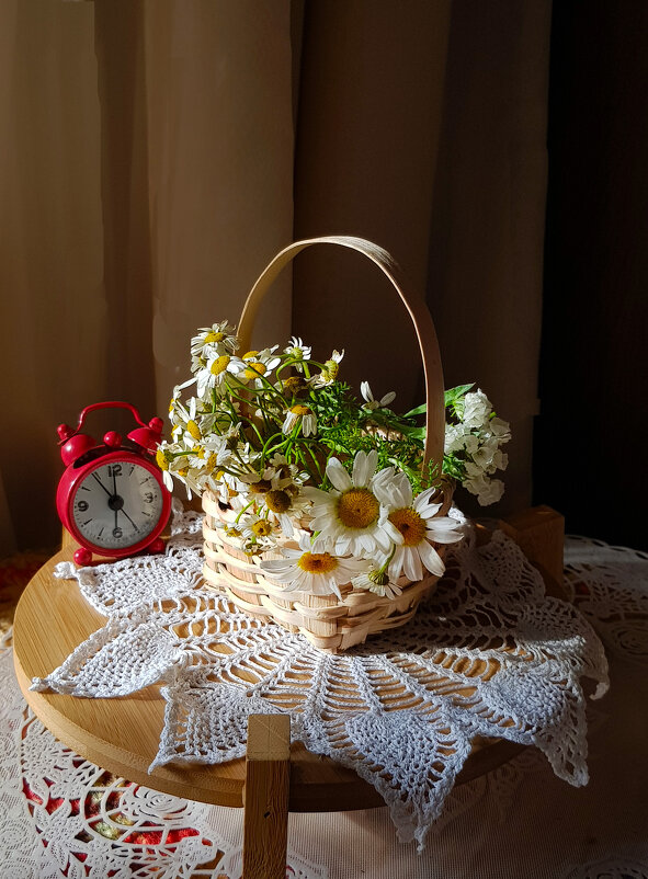 Ромашки бывают разными - Наталья (D.Nat@lia) Ромашки бывают разными - Наталья (D.Nat@lia)