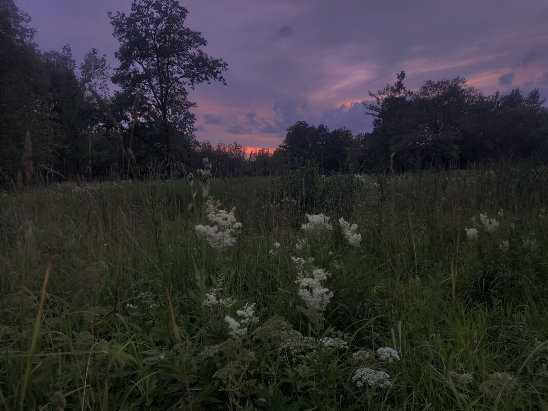 Закат - Сапсан 