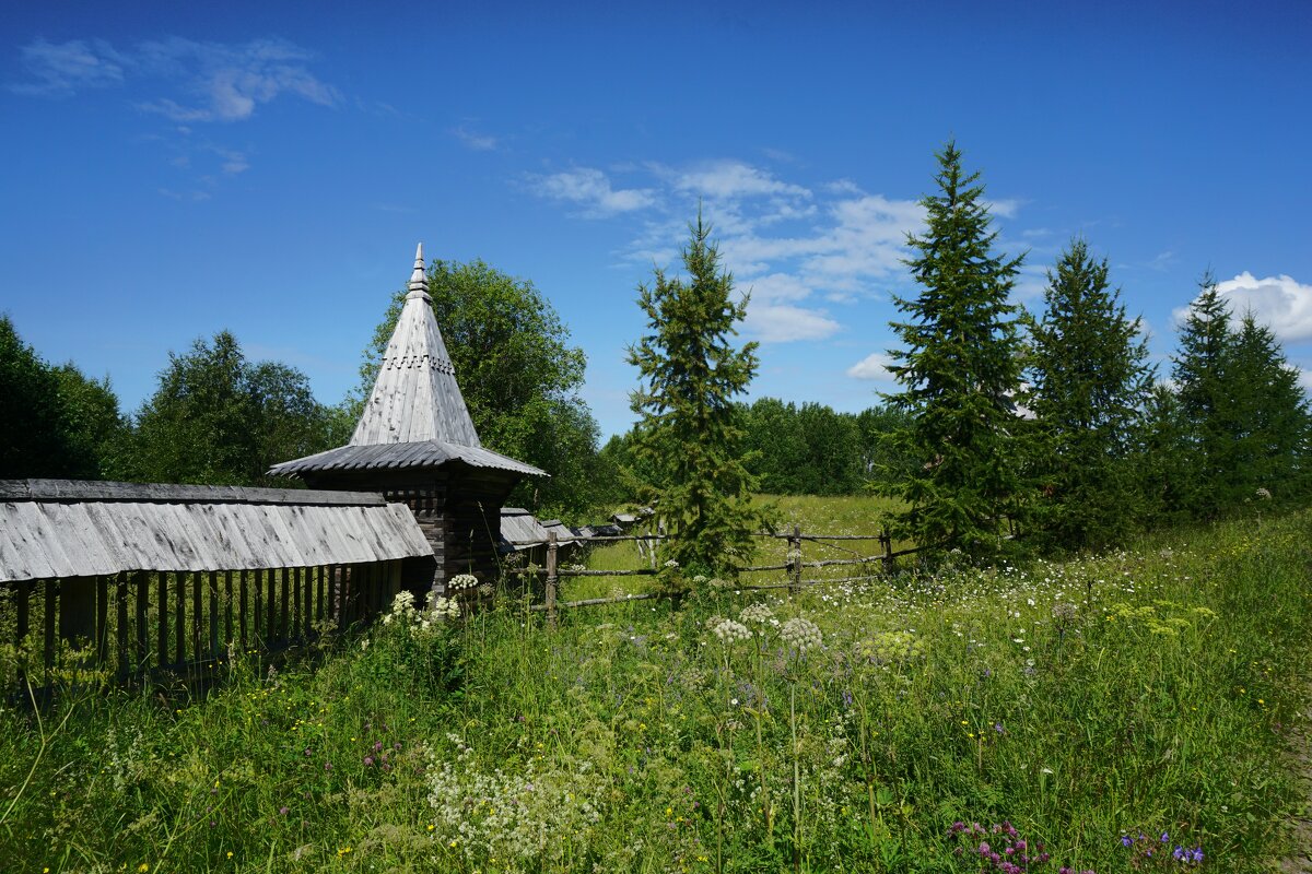 В Малых Корелах - Ольга Чистякова В Малых Корелах - Ольга Чистякова