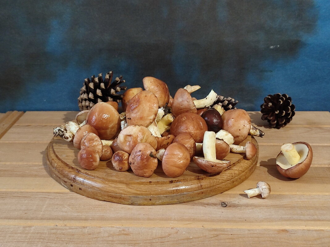 Грибочки - Валентина Богатко Грибочки - Валентина Богатко