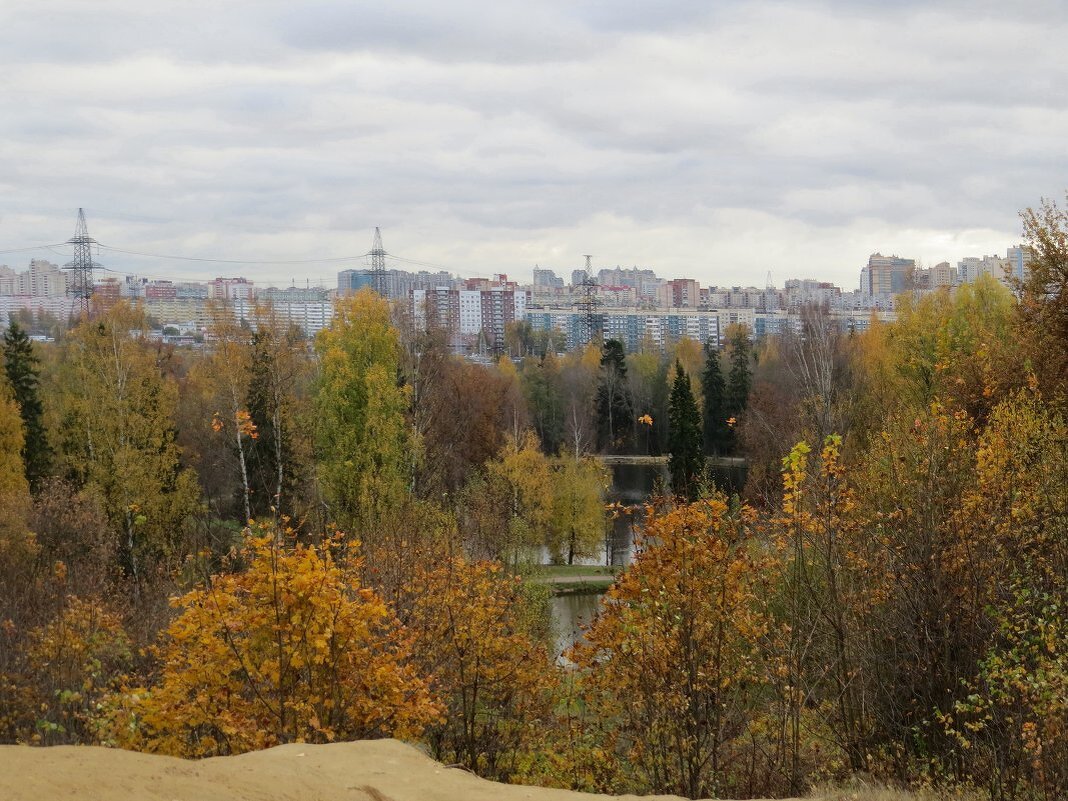 Окраина Петербурга - Вера Щукина