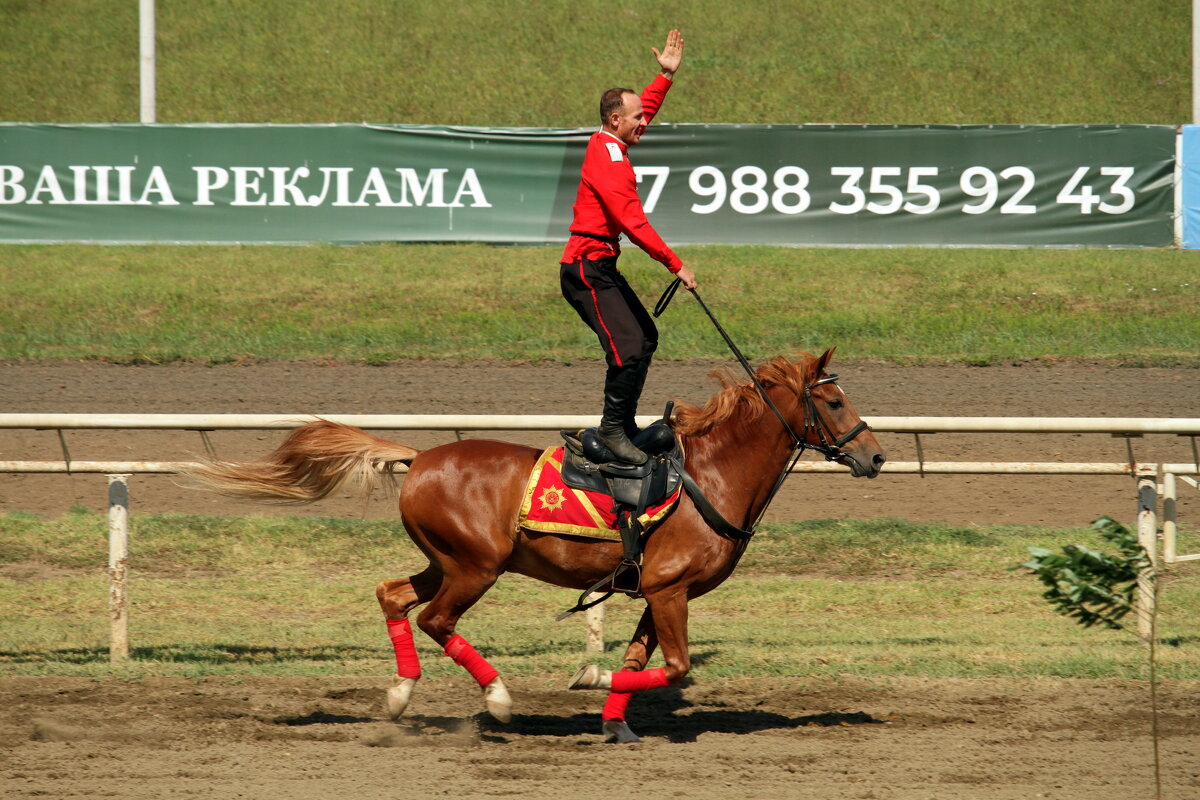 *** - Роман Величко