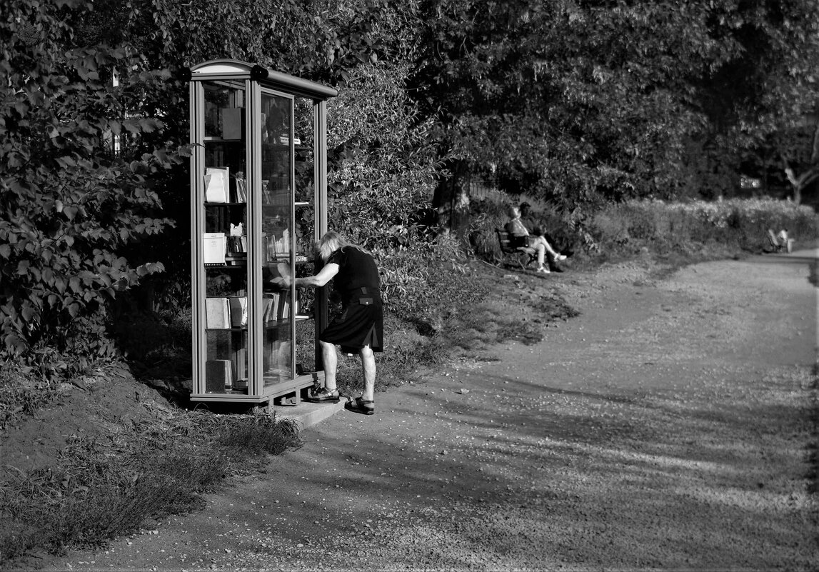 Книжные шкафы в Приоратском парке - Магомед .