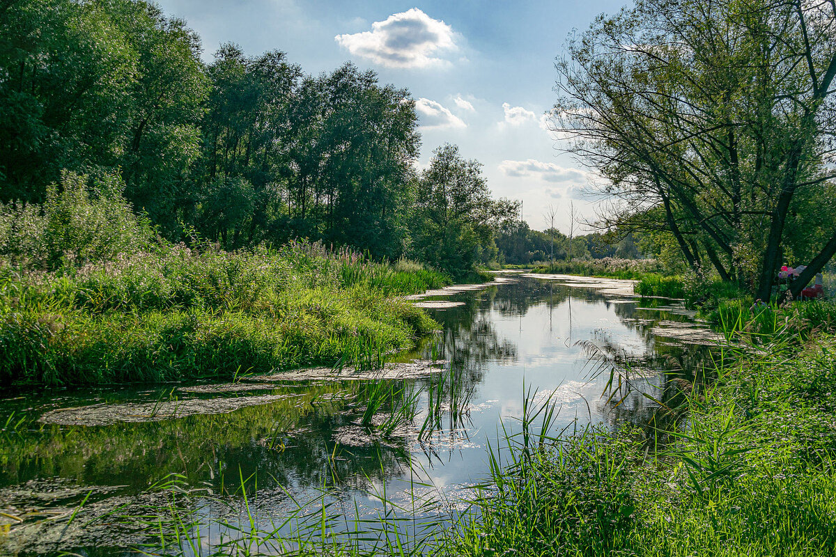 р. Яуза. - Сергей Романов
