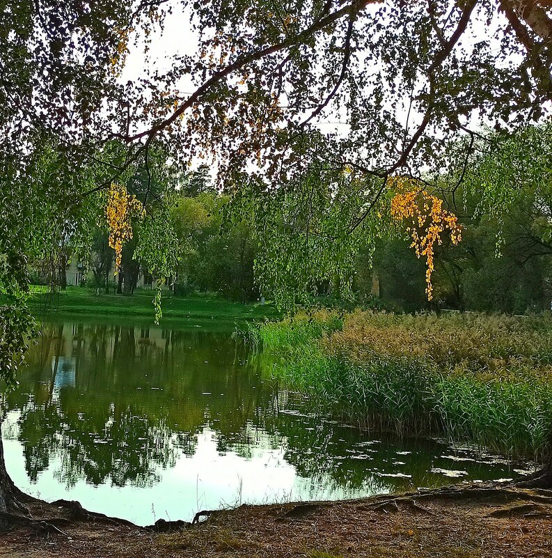 Первые вестники осени... - veilins veilins