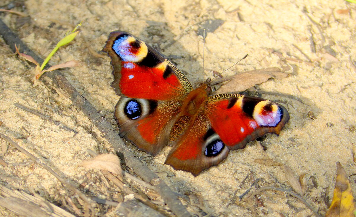 немного из сегодняшней съемки 3 - Александр Прокудин немного из сегодняшней съемки 3 - Александр Прокудин