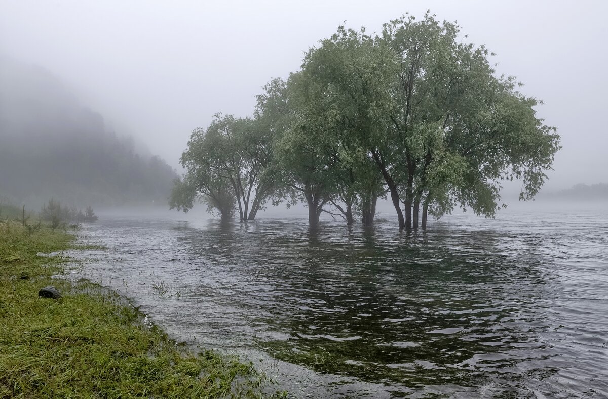 Большая вода - Марина Фомина.