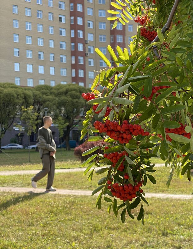 Осень - Светлана Каруненко