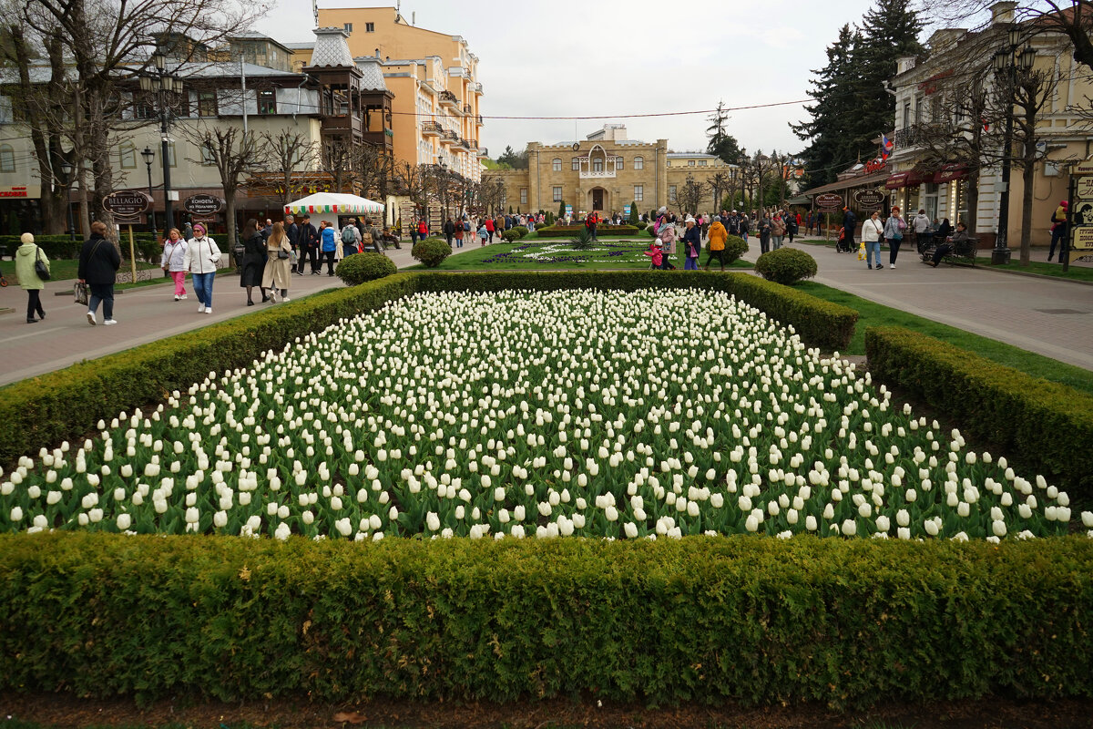 Кисловодск, Курортный бульвар - Анастасия Софронова