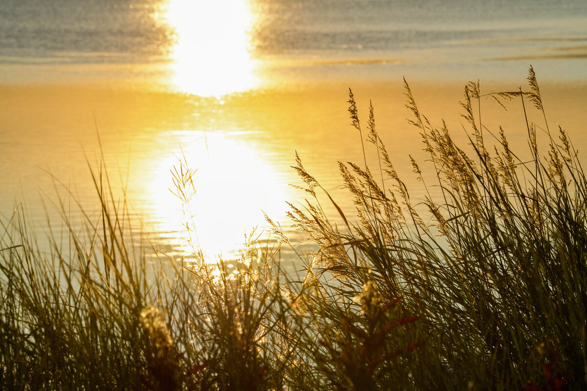 Закат - Виктория 