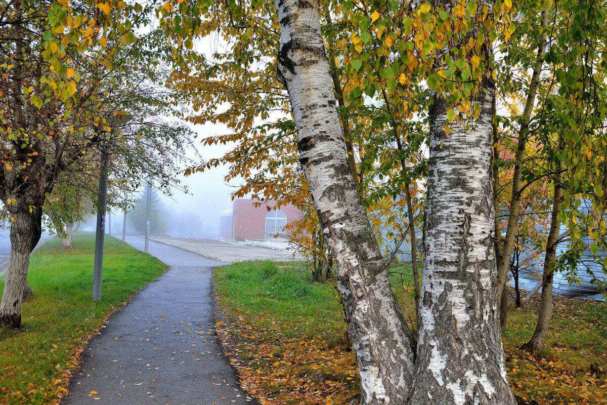 * - Александр Зуев