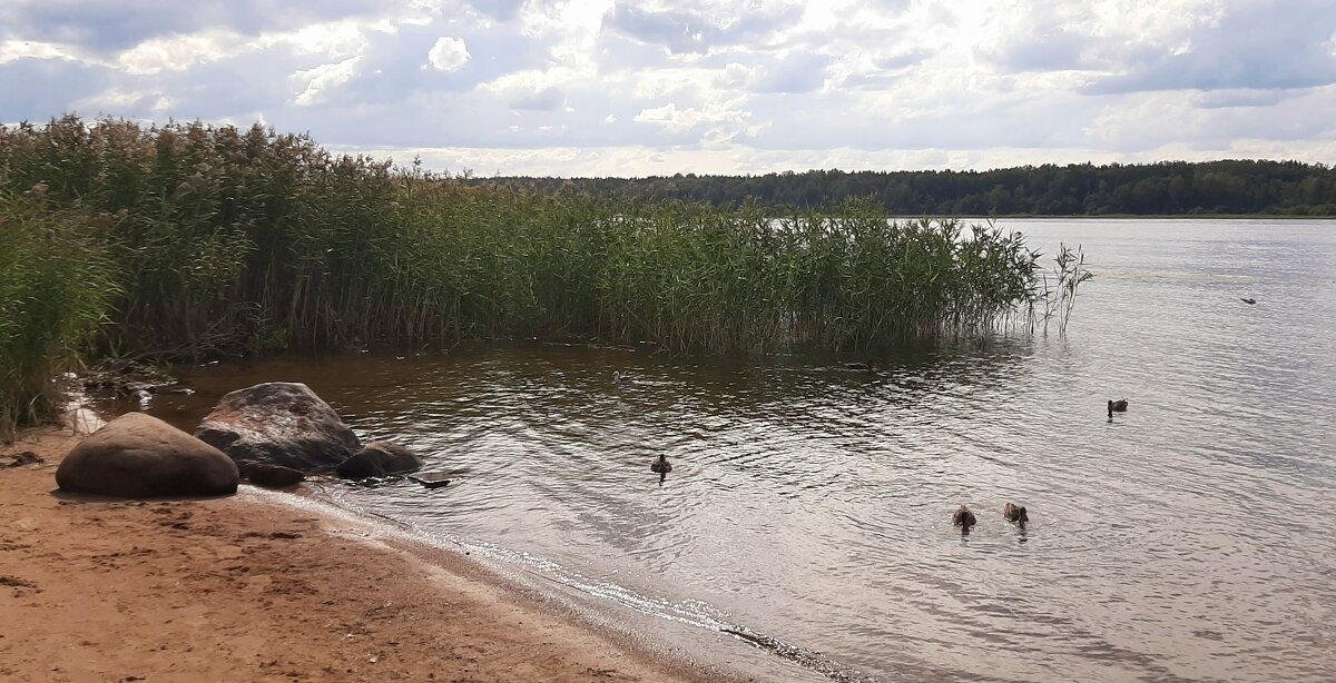 Нева - Наталья Герасимова