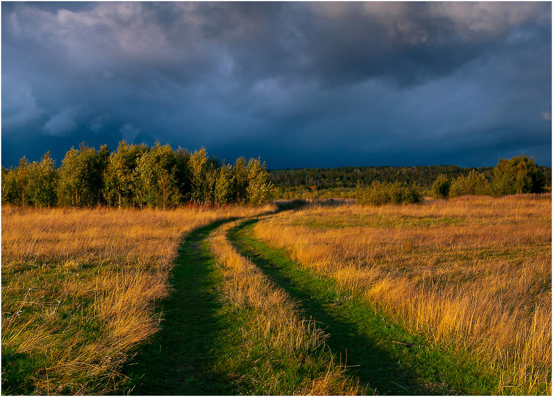 Осенняя дорога в поле. - Валентин Кузьмин Осенняя дорога в поле. - Валентин Кузьмин
